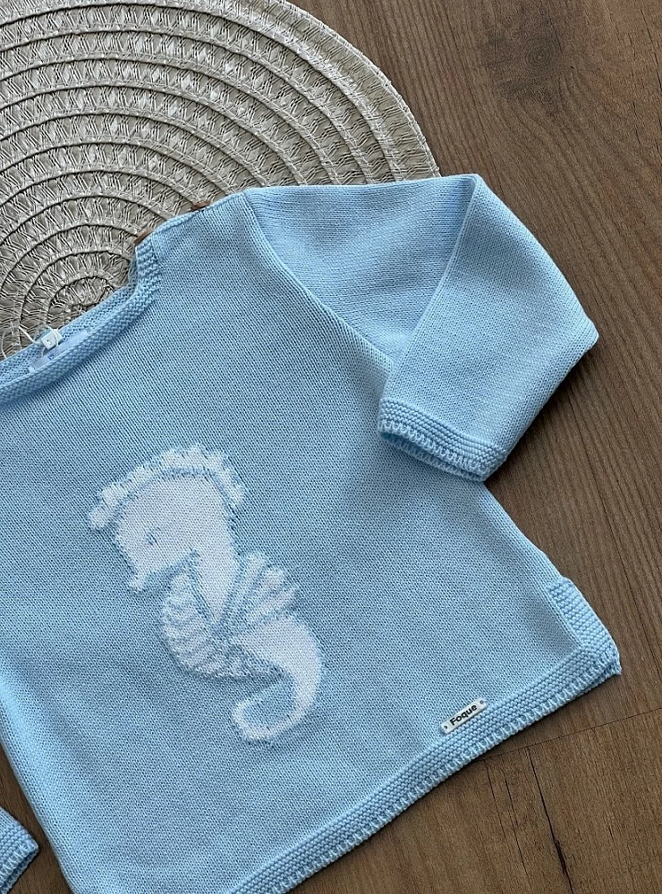 Blue sweater for boy Caballito de Foque collection