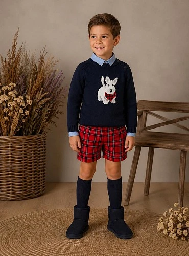 Boy's outfit with sweater, shirt and shorts, Terrier Collection by Lolittos