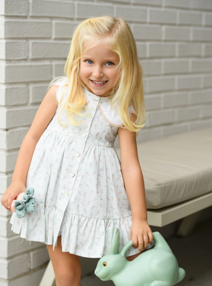 Carrot Collection Dress