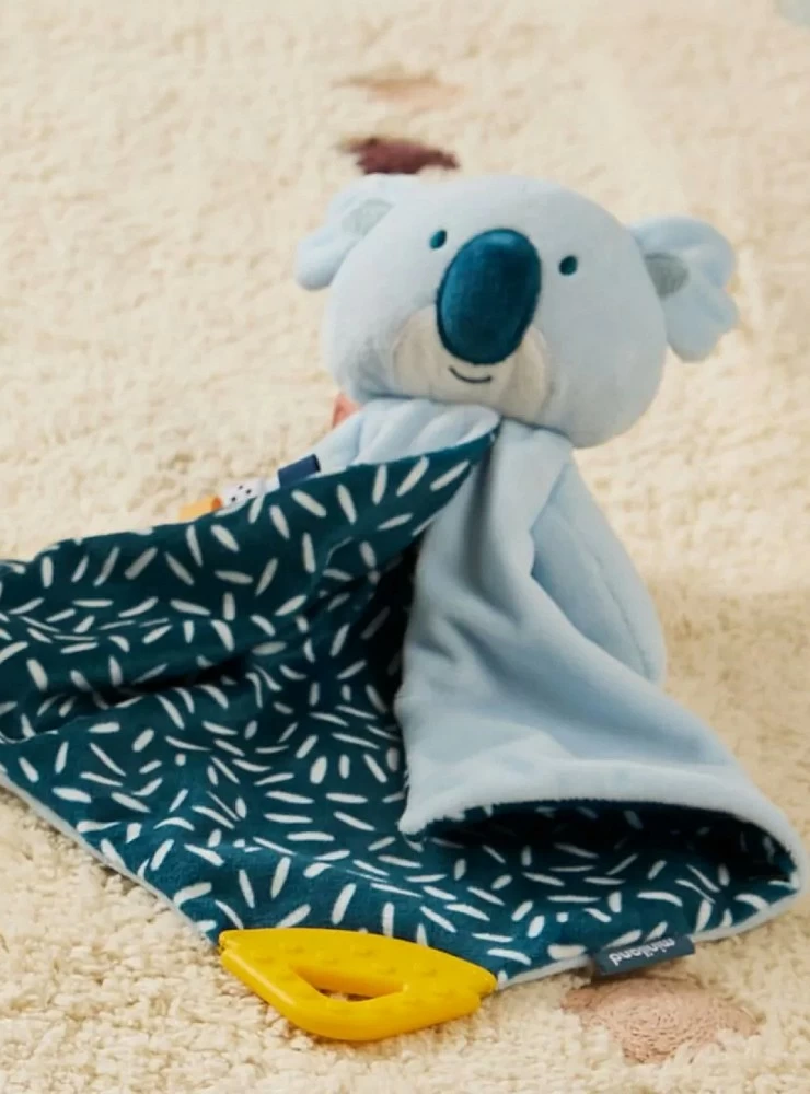 Dou Dou koala