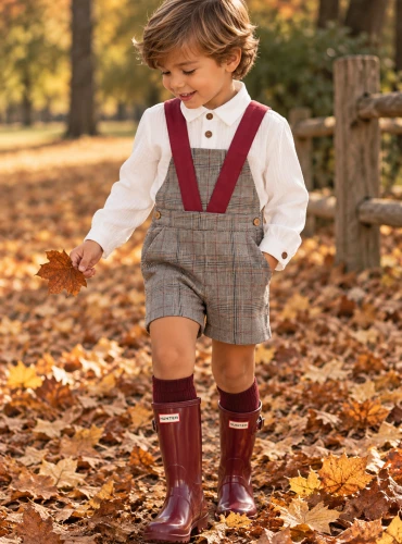 Rooster collection boy's outfit with plaid shirt and dungarees