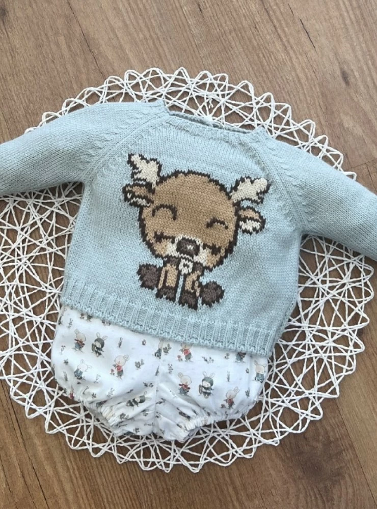 Sweater and panty set for baby boy, Silvestre collection