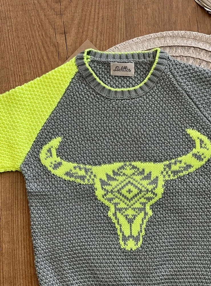 Sweater for boy Cherokee Collection by Lolittos