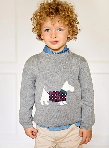 Tineo Collection Grey Sweater for Boys with Puppy Design