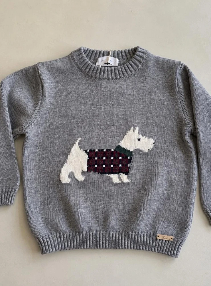 Tineo Collection Grey Sweater for Boys with Puppy Design