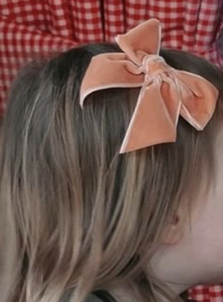 Velvet bow clip in various colors